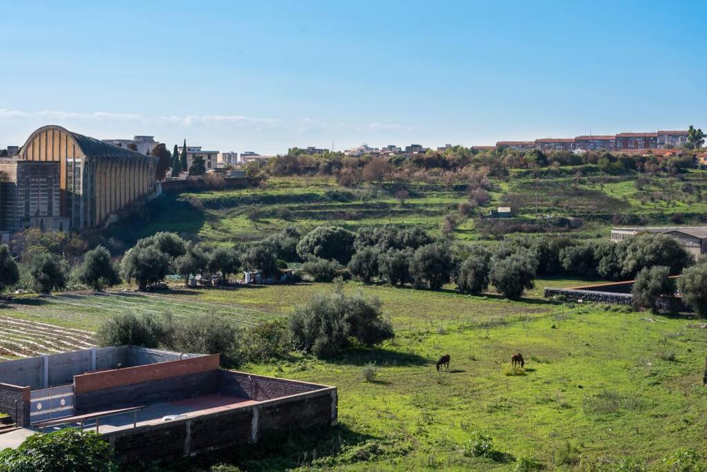 كاتانيا Top Floor Apartment Near Historic Fortino المظهر الخارجي الصورة